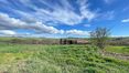 Rolling Hills Italy - Interessante proprietà in vendita a Montalcino