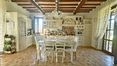 Rolling Hills Italy -