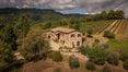 Rolling Hills Italy - Beautiful property in Chianti with vineyard and olive grove.