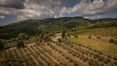 Rolling Hills Italy - Belle propriété dans le Chianti avec vignoble et oliveraie.