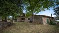 Rolling Hills Italy - Beautiful property in Chianti with vineyard and olive grove.