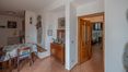Rolling Hills Italy - Beautiful property in Chianti with vineyard and olive grove.