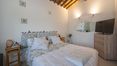 Rolling Hills Italy - Stunning Country House with Indoor Pool near Siena.
