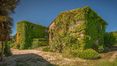 Rolling Hills Italy - Elegante Casale con Piscina e dependance a Chiusdino.