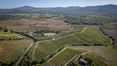 Rolling Hills Italy - Stunning farm with winery in Maremma