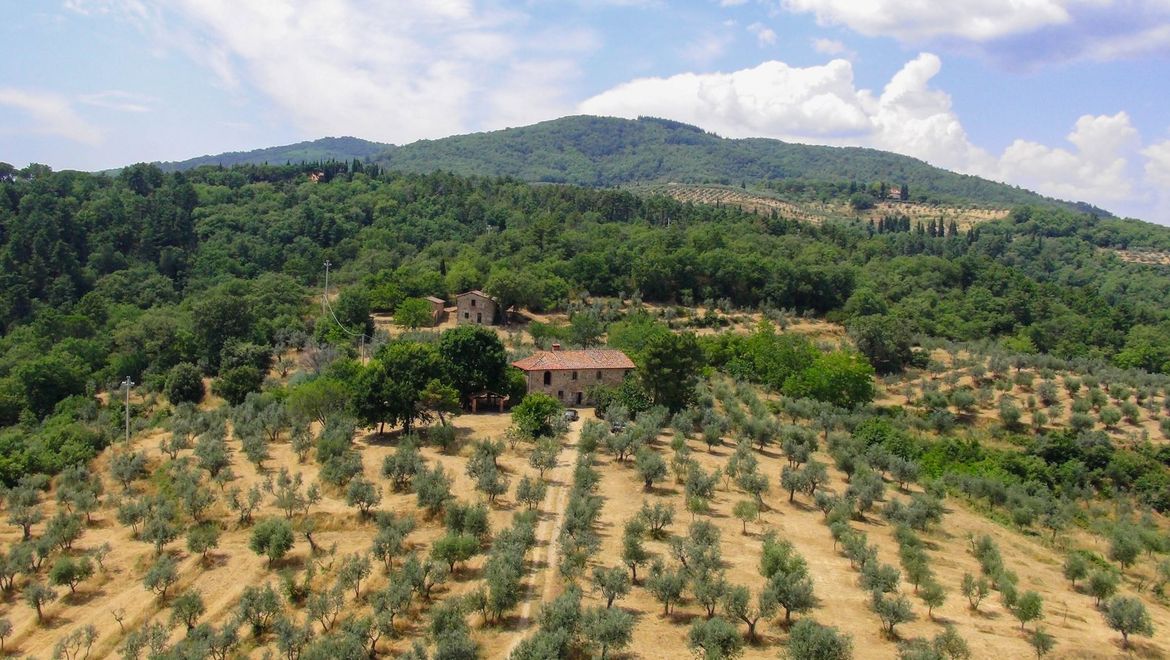 Rolling Hills Italy - Three farmhouses for sale with renovation project.