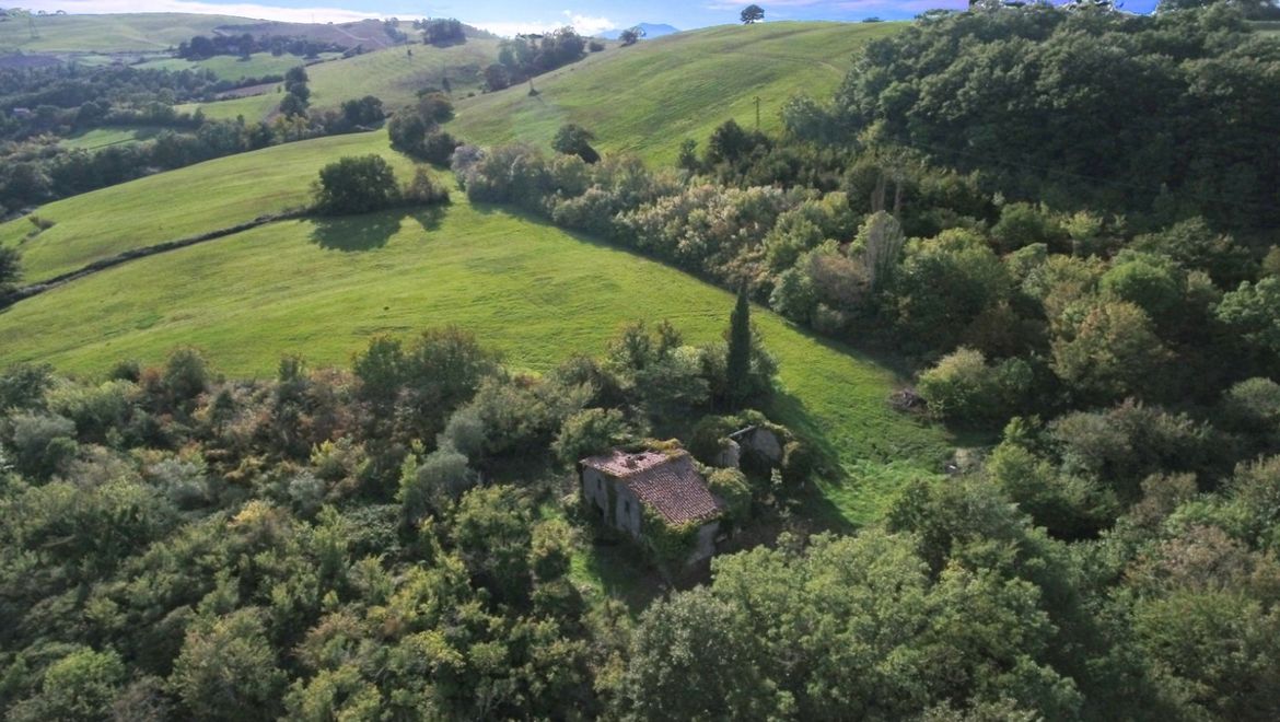 Rolling Hills Italy - Nel comune di Radicofani, vendesi rudere su due livelli circondato da terreno di 9 ha 