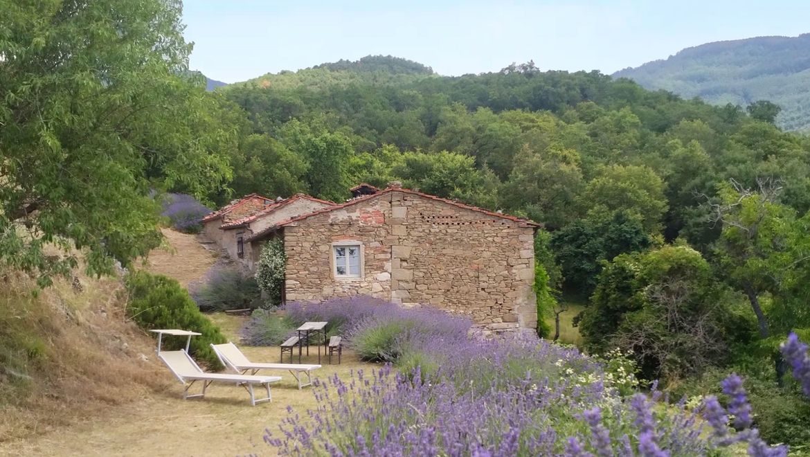 Rolling Hills Italy - Charming stone house surrounded by nature in Loro Ciuffenna.