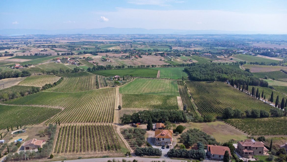 Rolling Hills Italy - Vendesi azienda vitivinicola a pochi passi da Montepulciano.