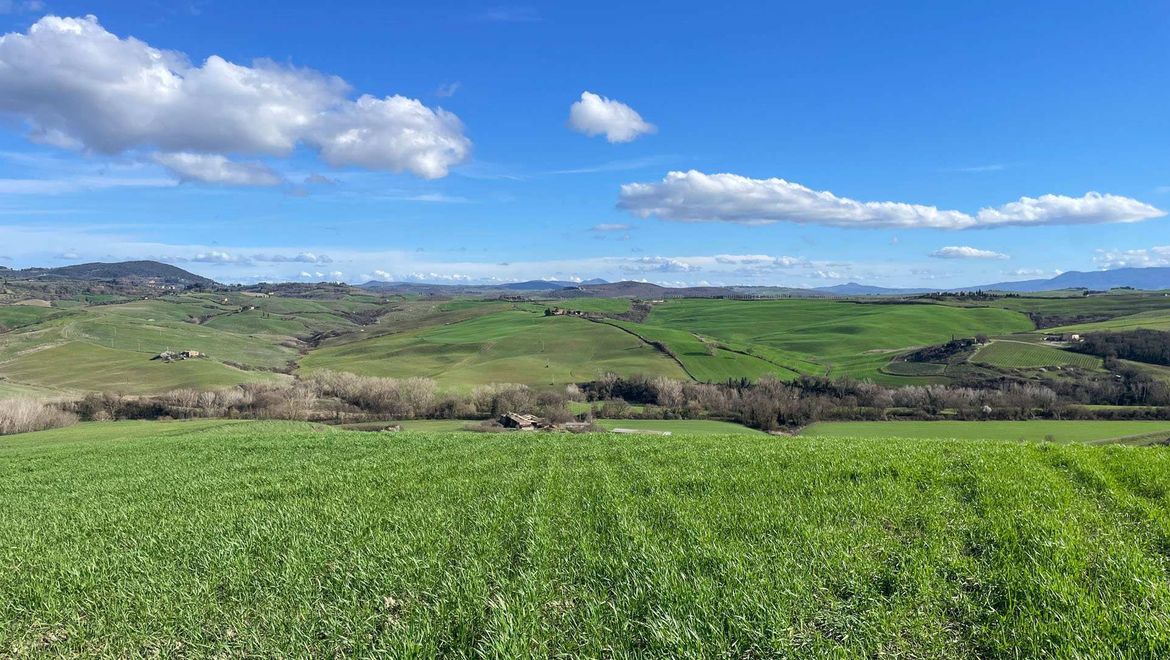Rolling Hills Italy - Interessante Immobilie zum Verkauf in Montalcino