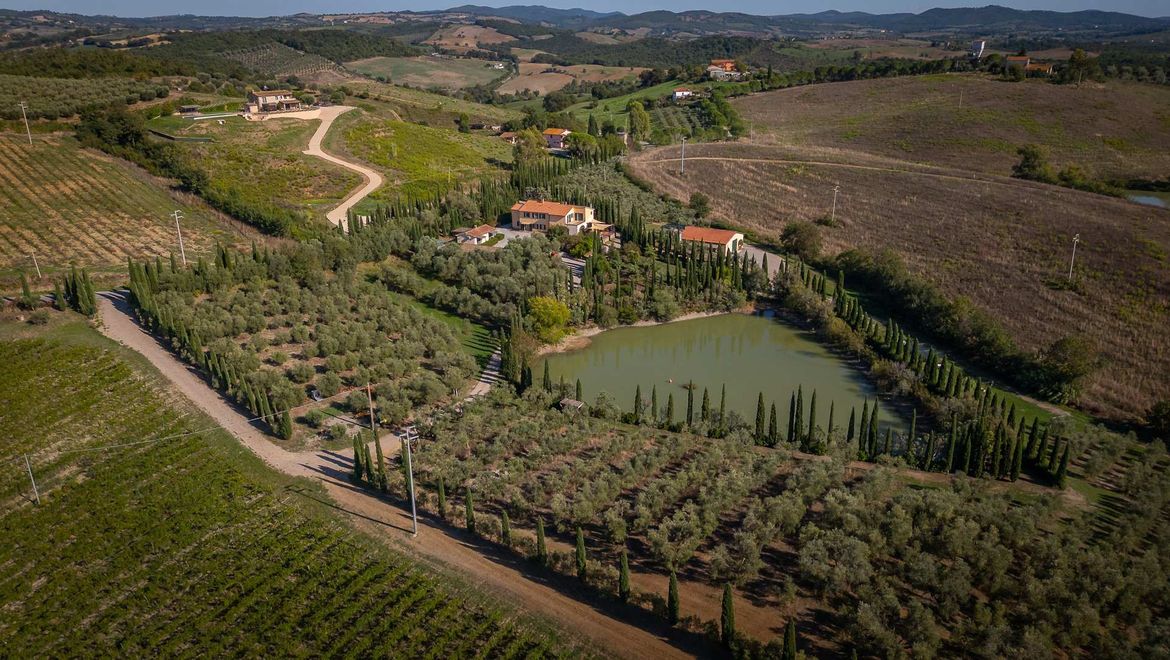Rolling Hills Italy - Splendida azienda vitivinicola in Maremma